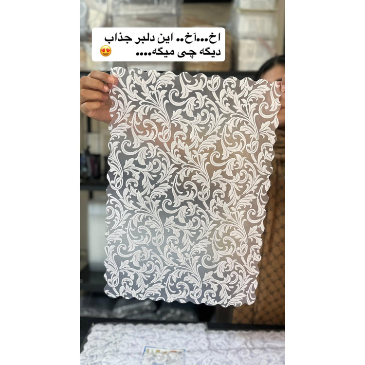 محافظ طبقات تو یخچالی