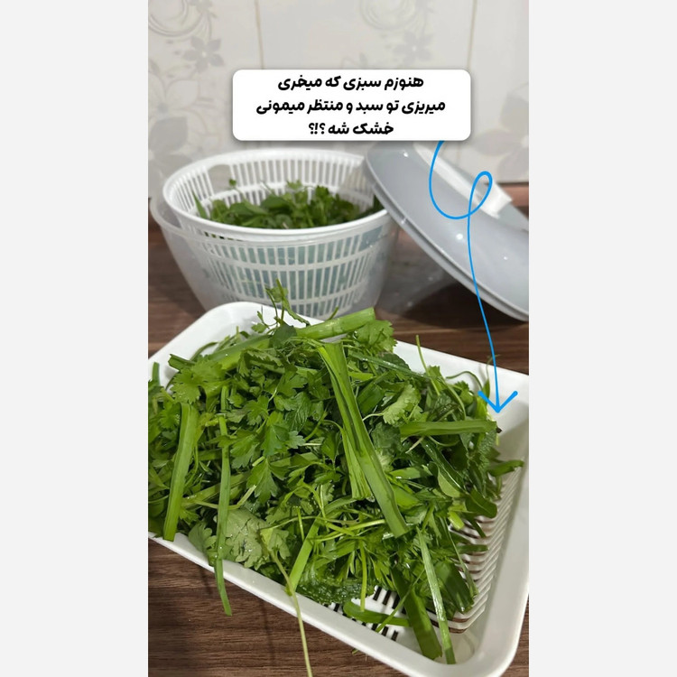 آبگیر سبزیجات