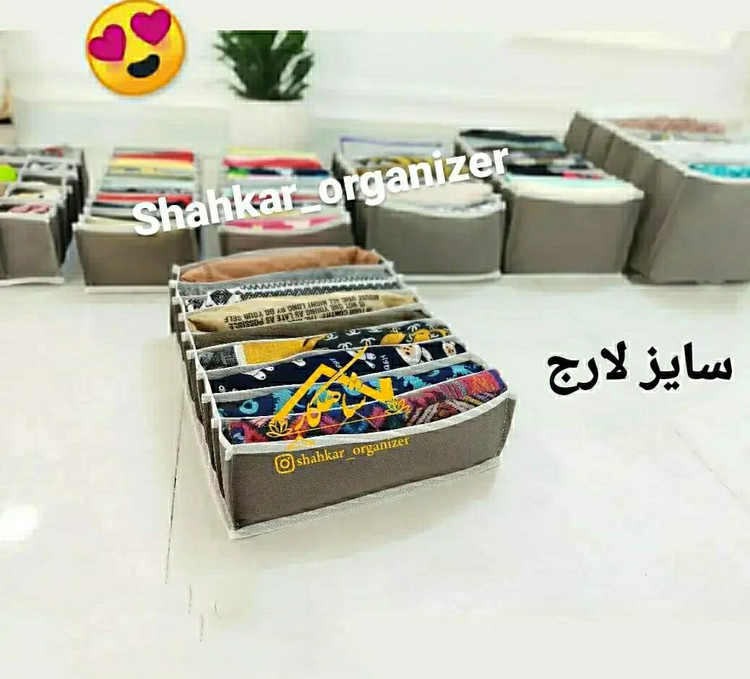 نظم دهنده لارج